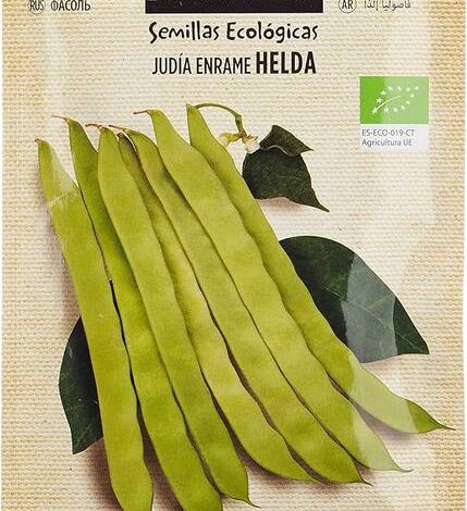 Todo sobre las semillas de judía