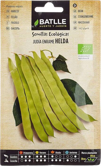Todo sobre las semillas de judía