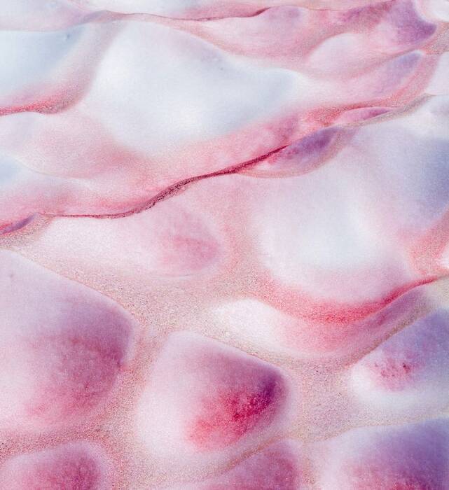 Violeta AV Watermelon Snow