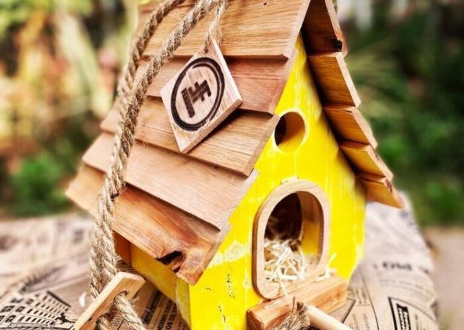 Cómo y cuándo florecen los albaricoques?