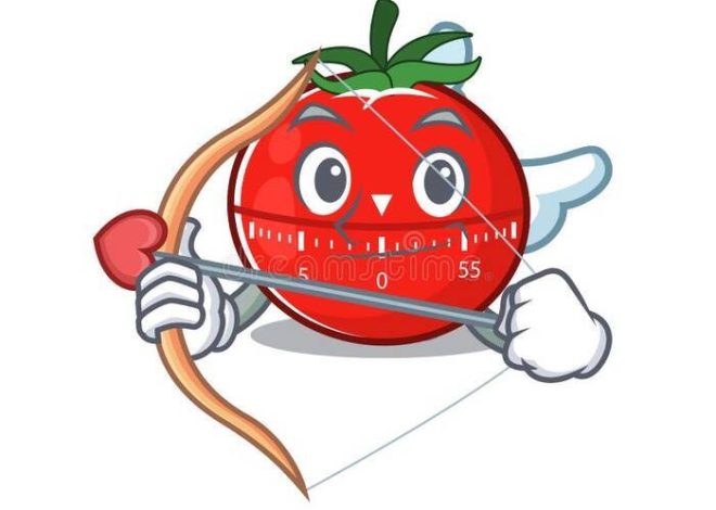 Cultivo de la lavanda en maceta: plantación y cuidados en casa