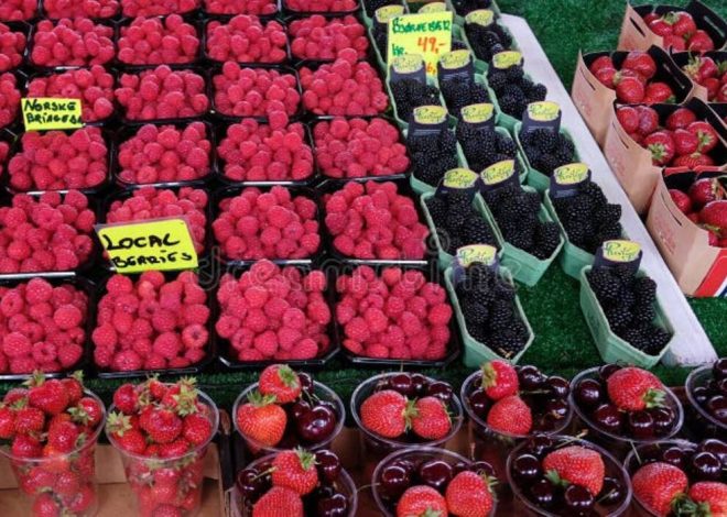 Híbrido de ciruelo y cerezo (SVG): descripción y cultivo