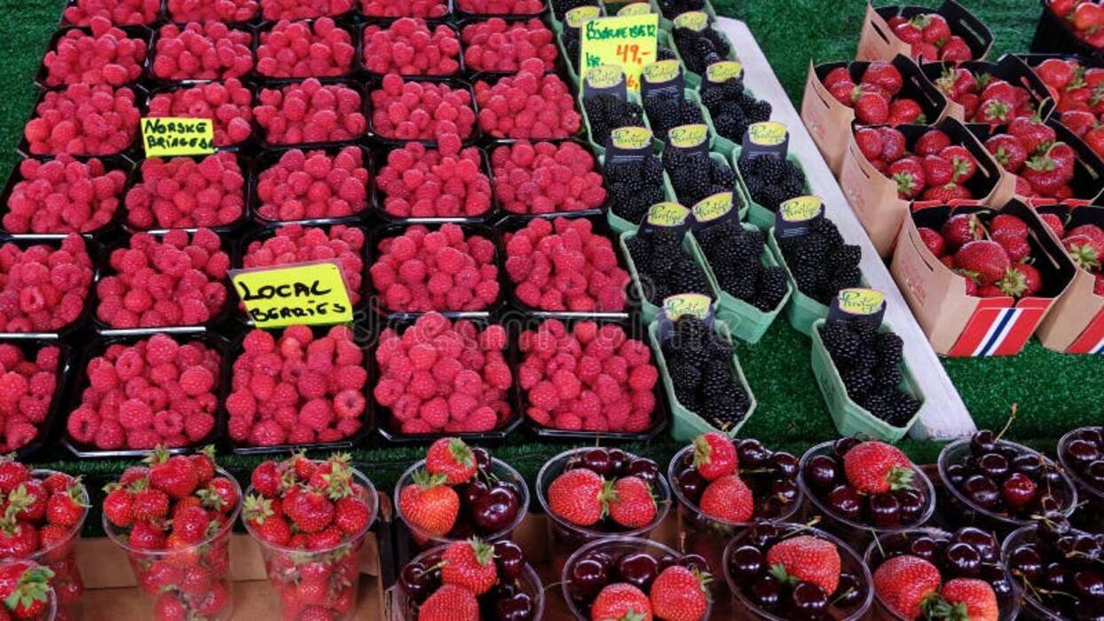 Híbrido de ciruelo y cerezo (SVG): descripción y cultivo