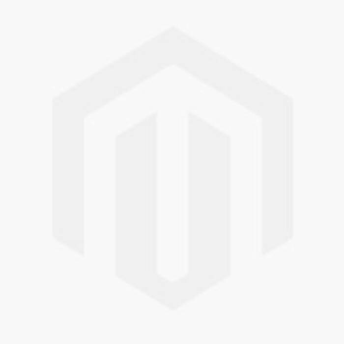 Stromantha tricolor: descripción y cultivo