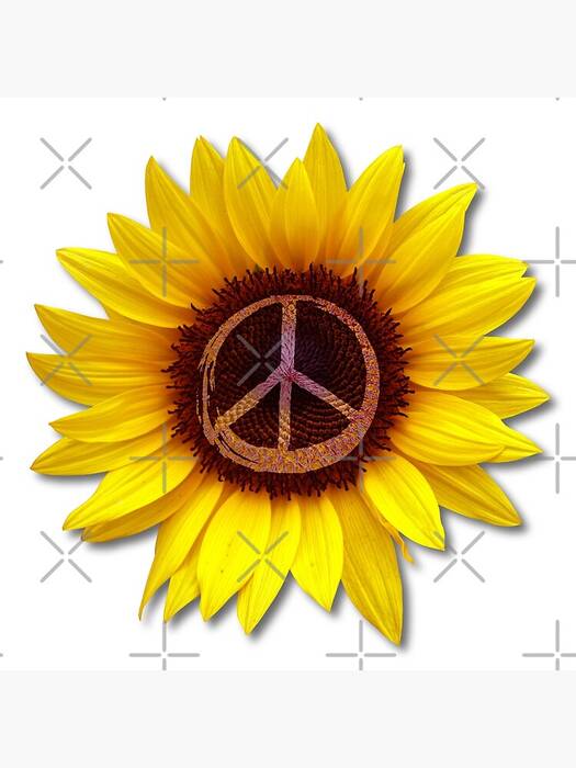 El girasol como símbolo