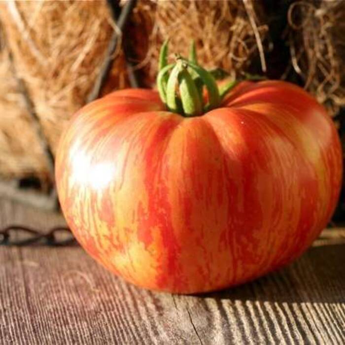 Por qué la tuya se vuelve negra y qué hacer?