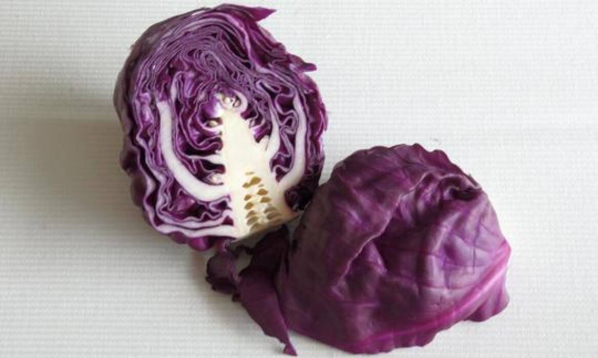 Predecesores de la remolacha en el bancal