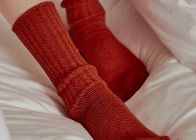 ¿Qué se puede utilizar para masilla un corte en un manzano??