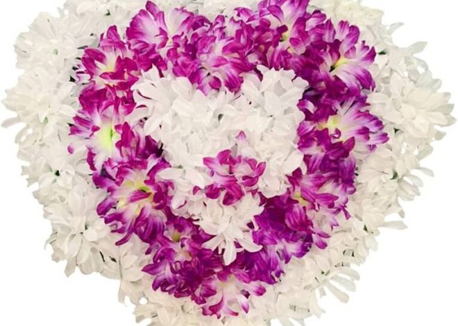 Crisantemo Elfo Blanco