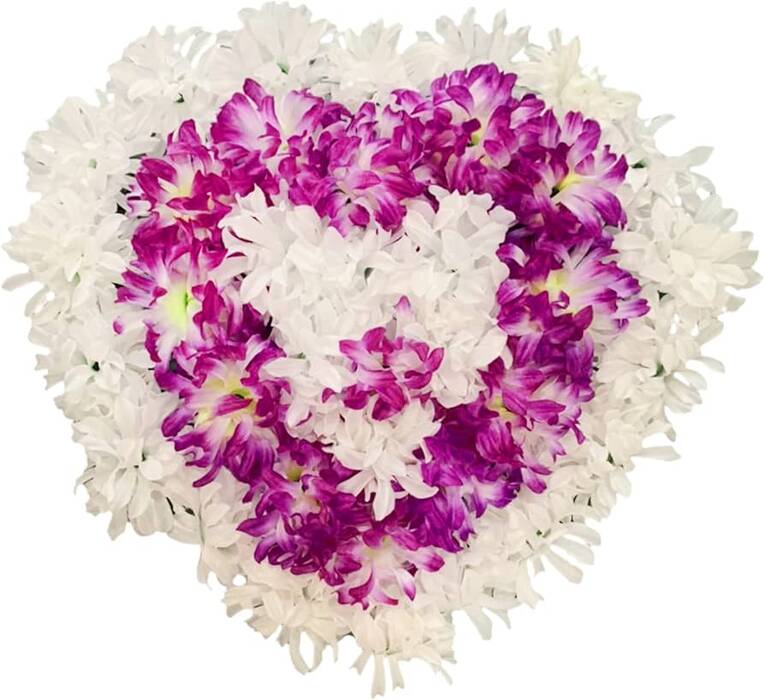 Crisantemo Elfo Blanco