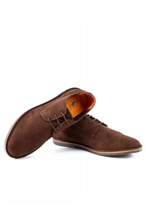 El ganso Greater Lionhead