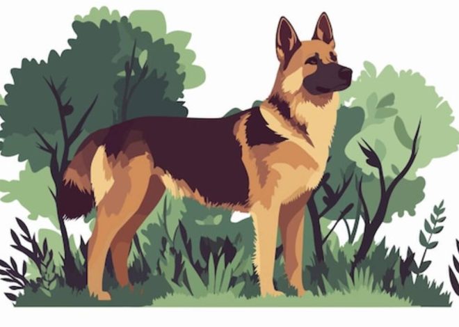 Qué es mejor plantar junto a las rosas en el parterre?