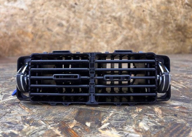 Qué plantar junto a un manzano?