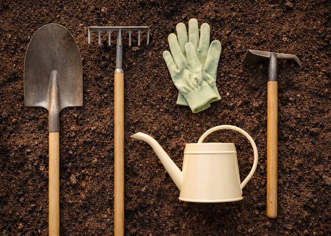 Cómo preparar el suelo para la plantación de plantas