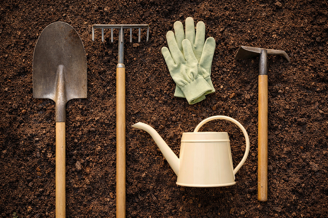Cómo preparar el suelo para la plantación de plantas